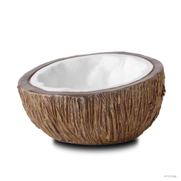 Coconut