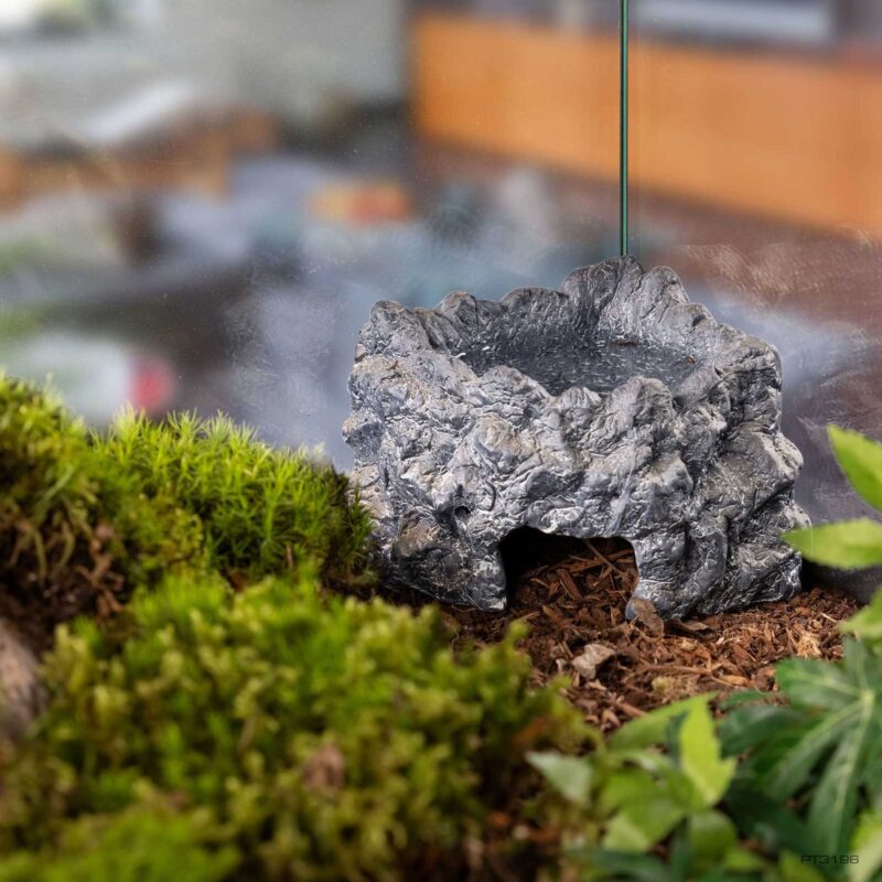 Corner Cave Medium