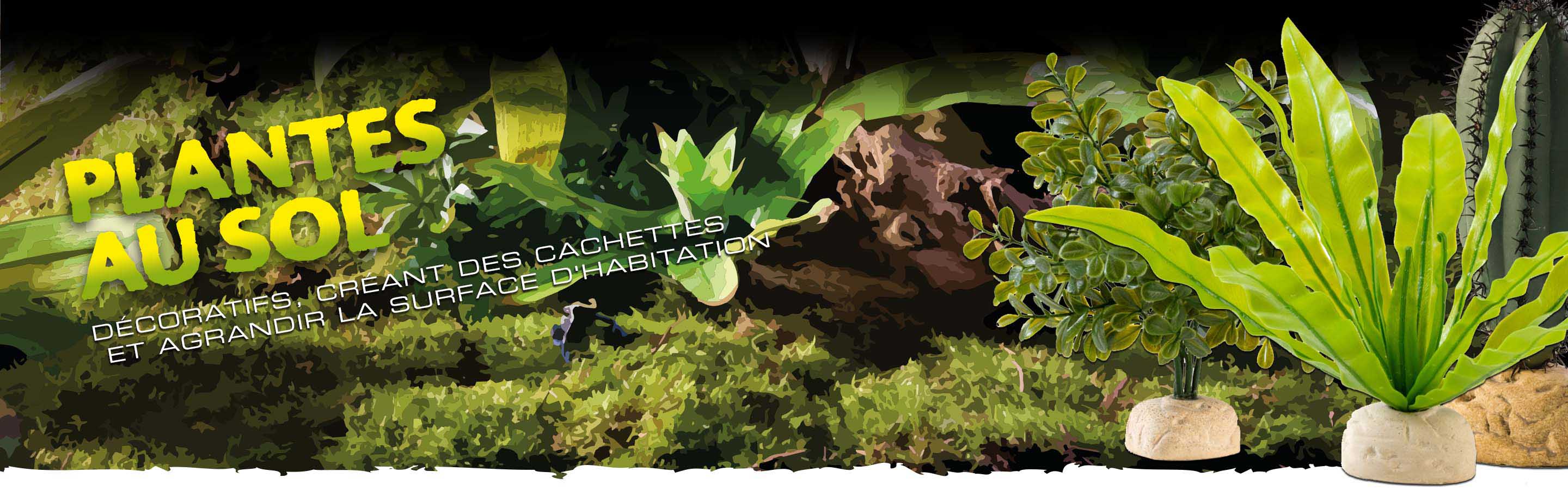 Bottom Plants Header