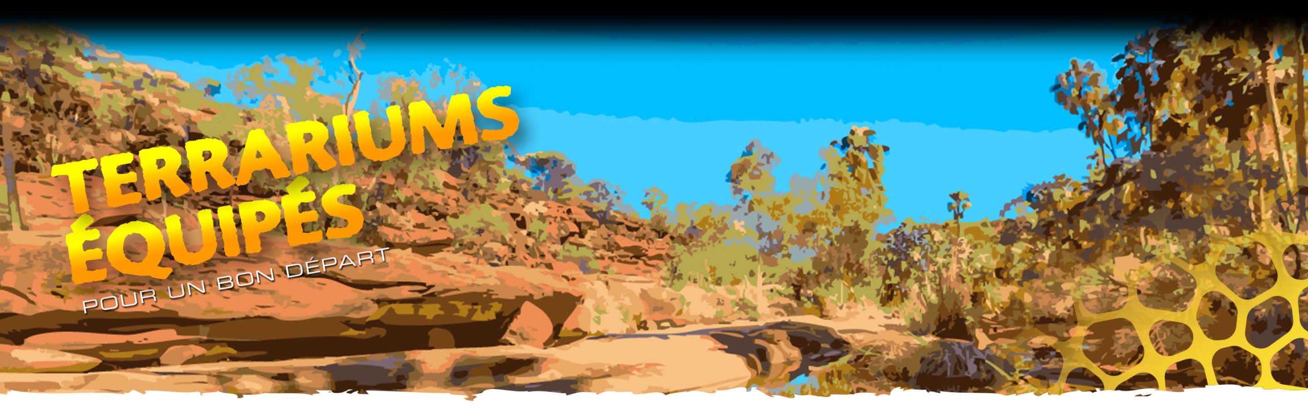 Terrarium Kits Header