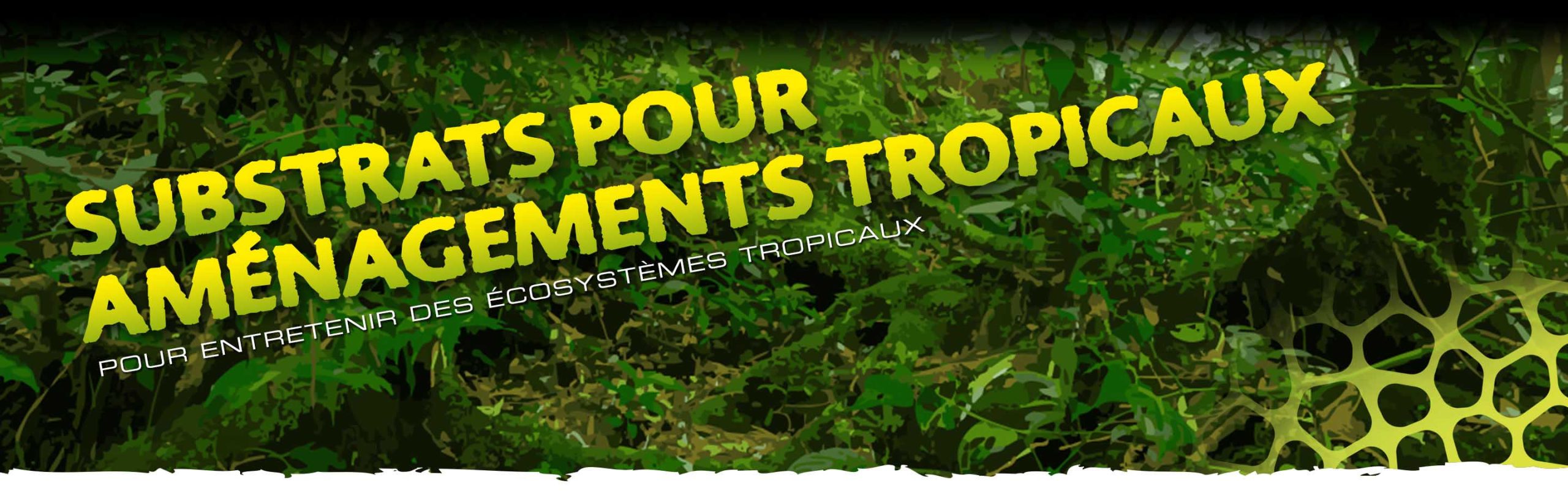 Tropical Substrates Header