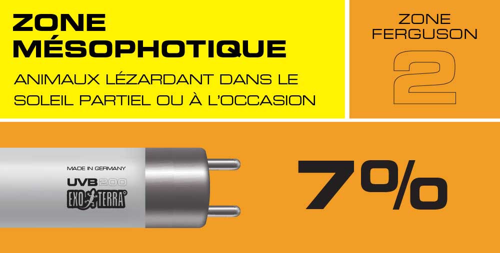 Nouvel éclairage UVB VHO T5