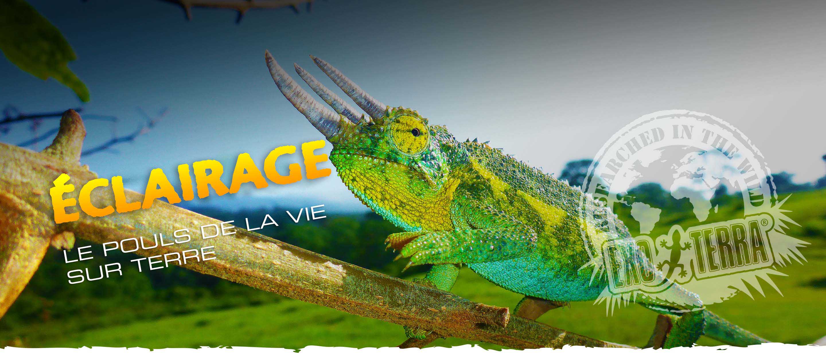 Nouvel éclairage UVB VHO T5