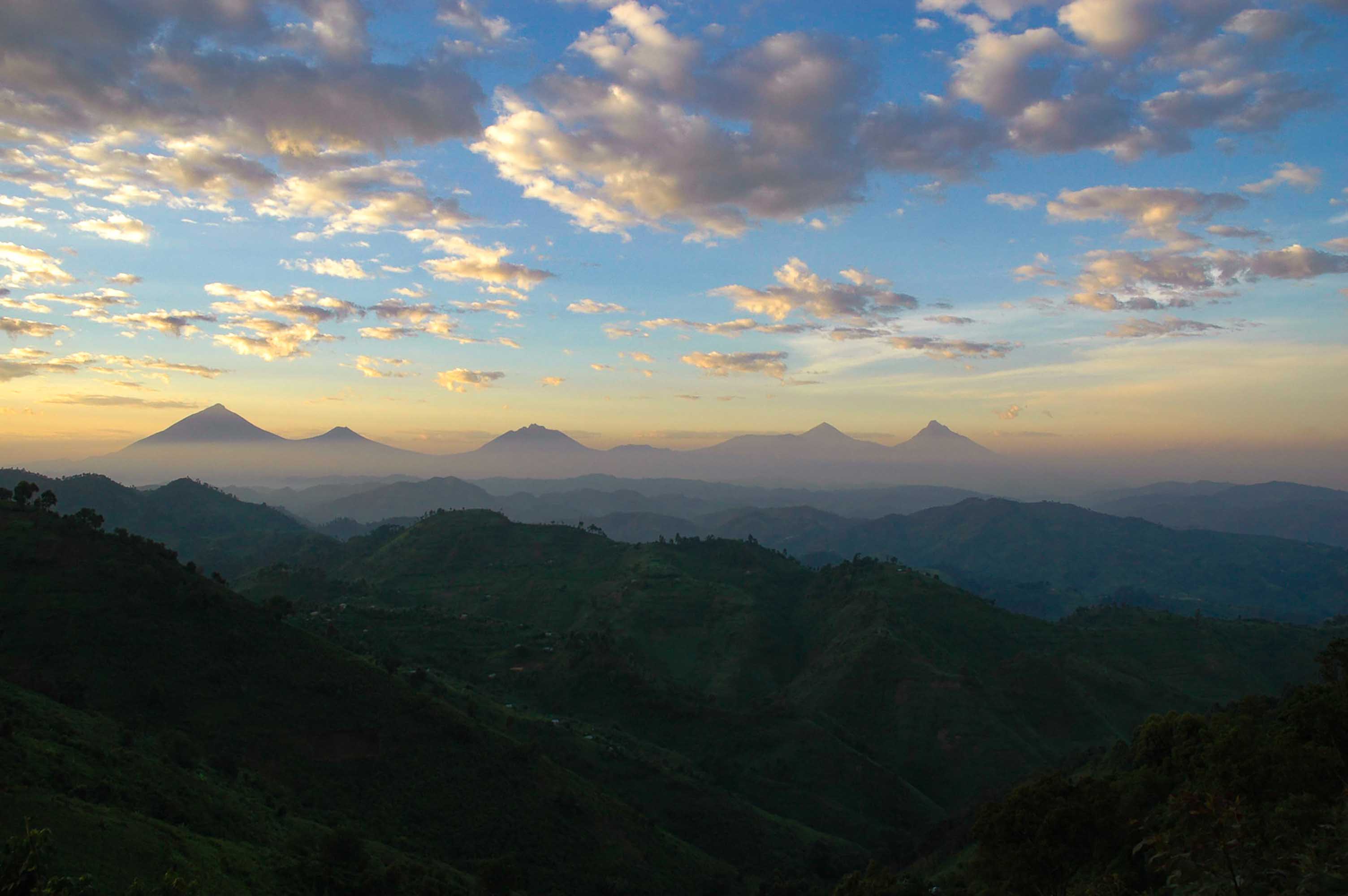 Forêt Impénétrable De Bwindi