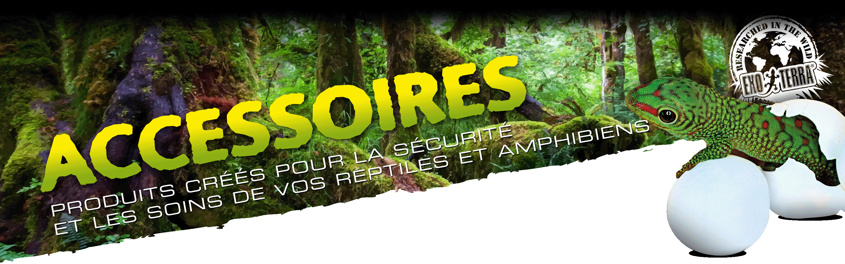 Accessoires