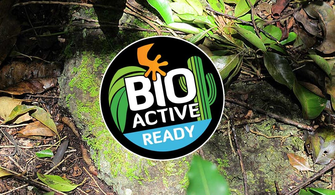 Bioactive