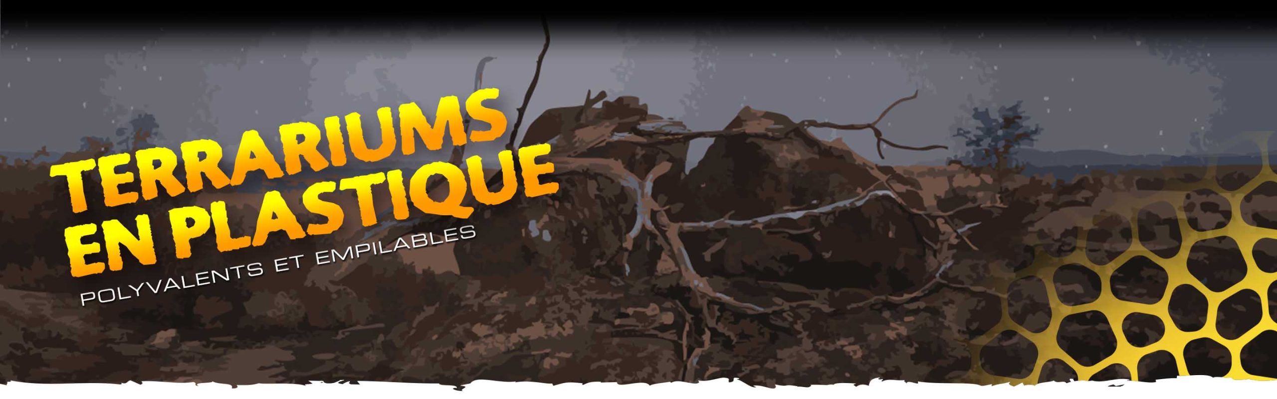 Terrariums en plastique