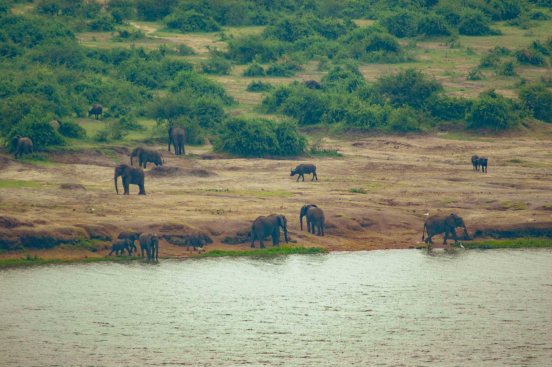 Voyage À Travers La Reine Elisabeth NP