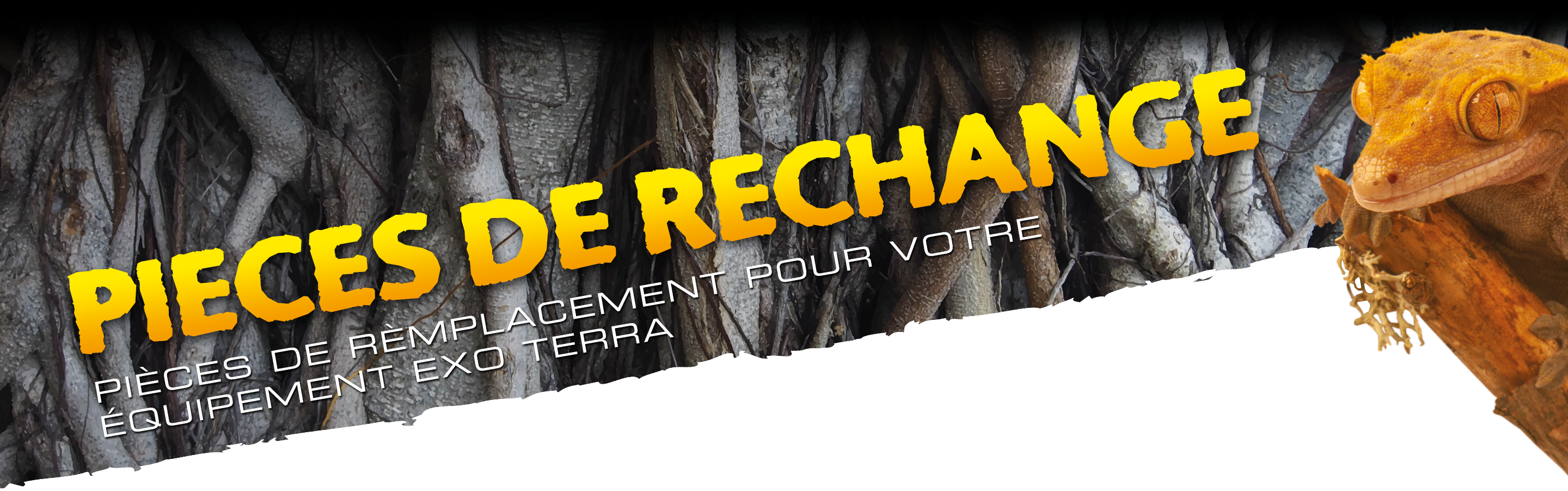 Pièces De Rechange