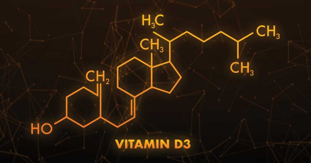 Vitamine D3 Et Reptiles : Un Lien Vital