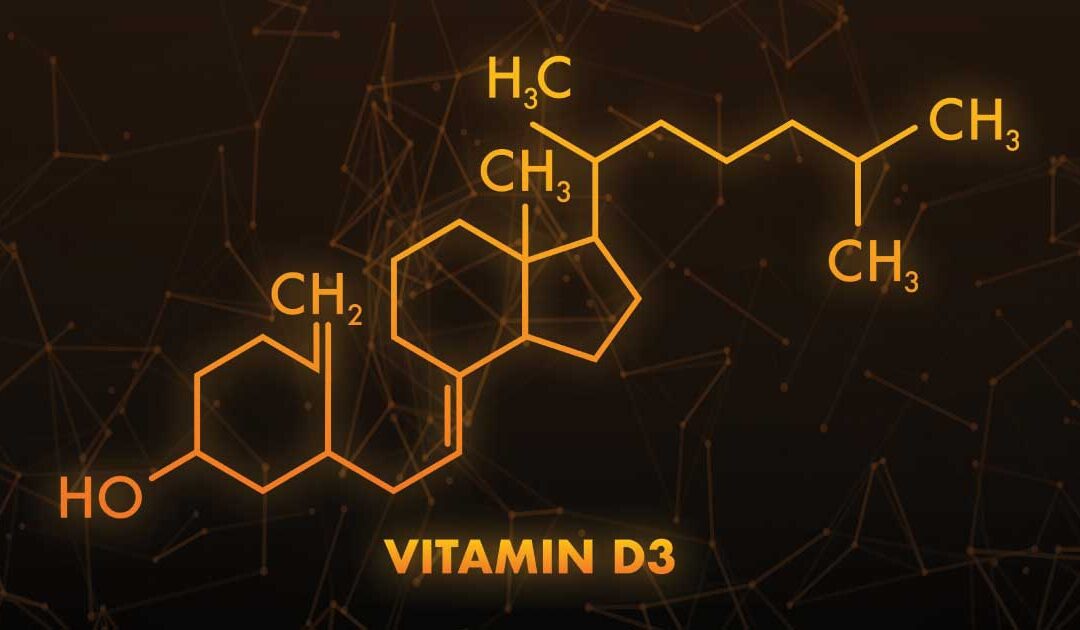Vitamine D3 Et Reptiles : Un Lien Vital