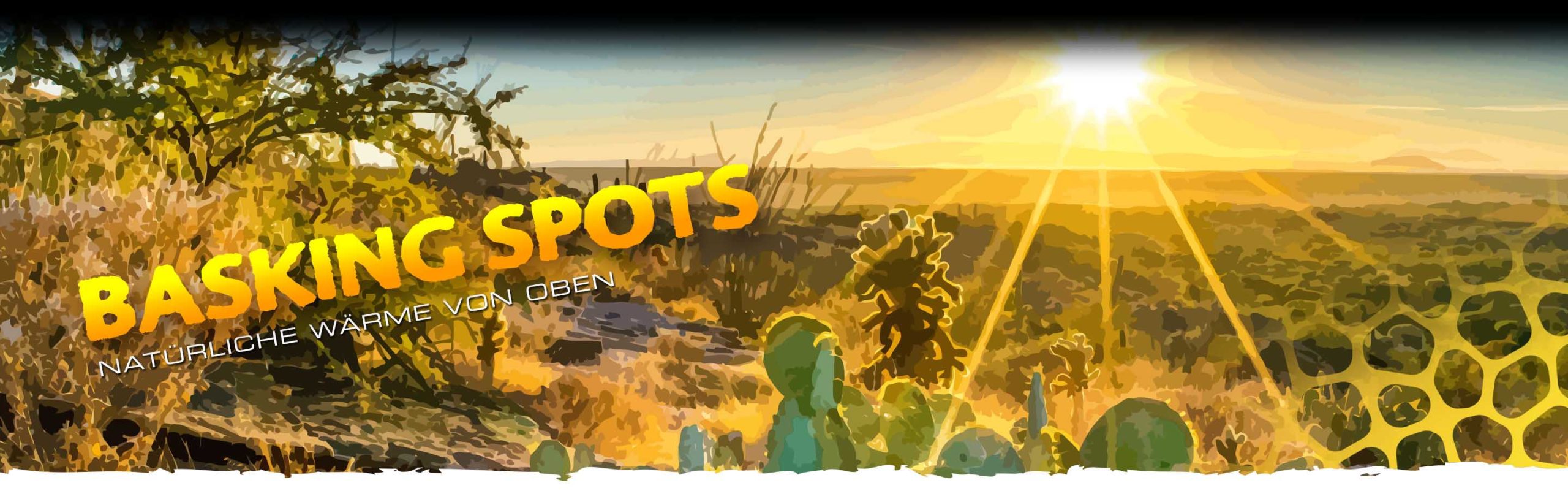 Basking Spots Header