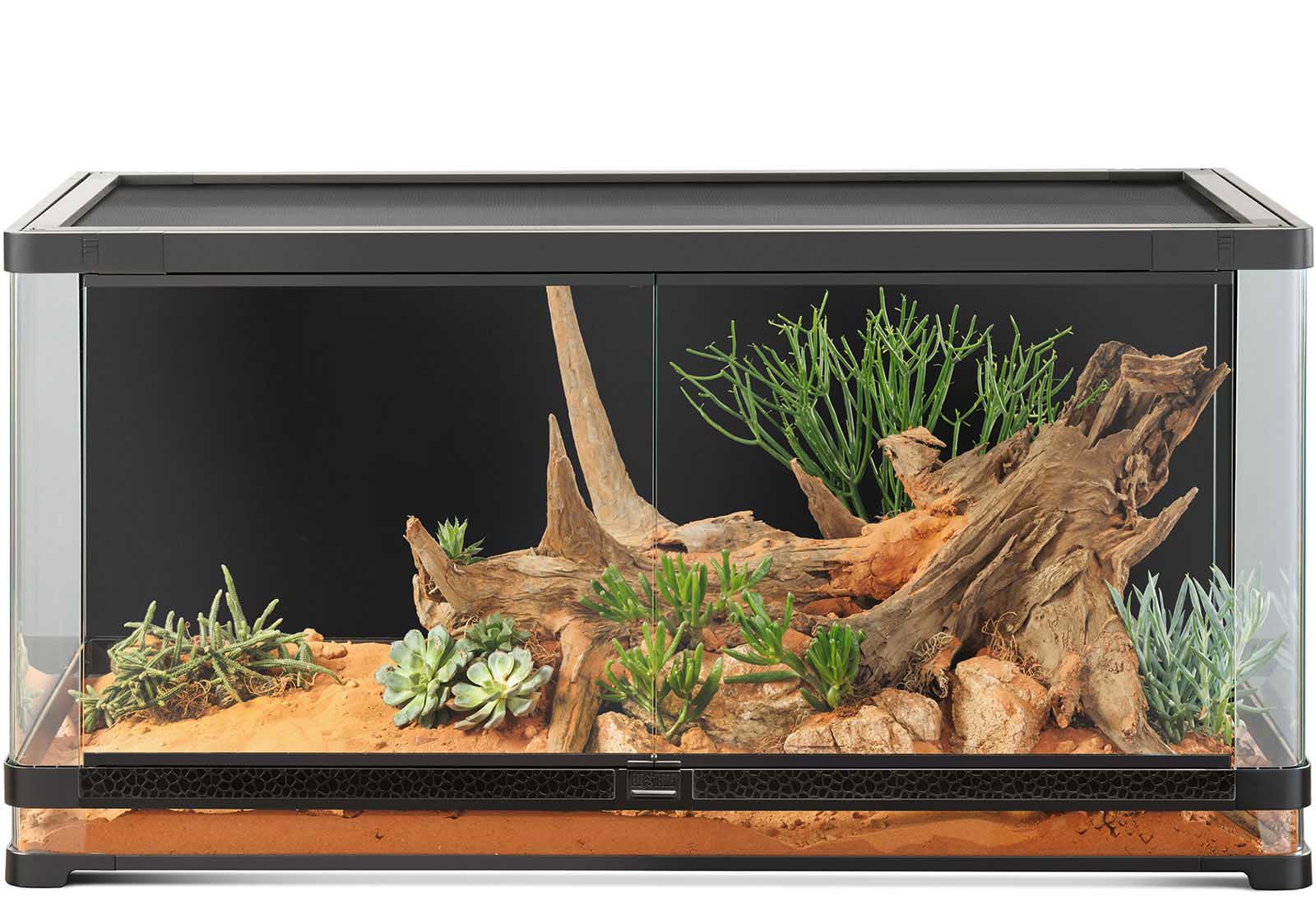 Terrarien