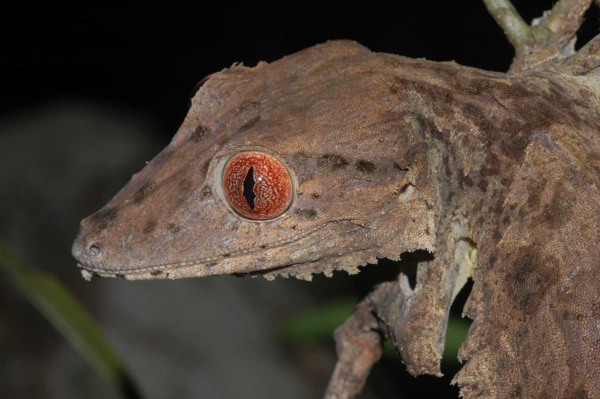 Die Halbinsel Ampasindava