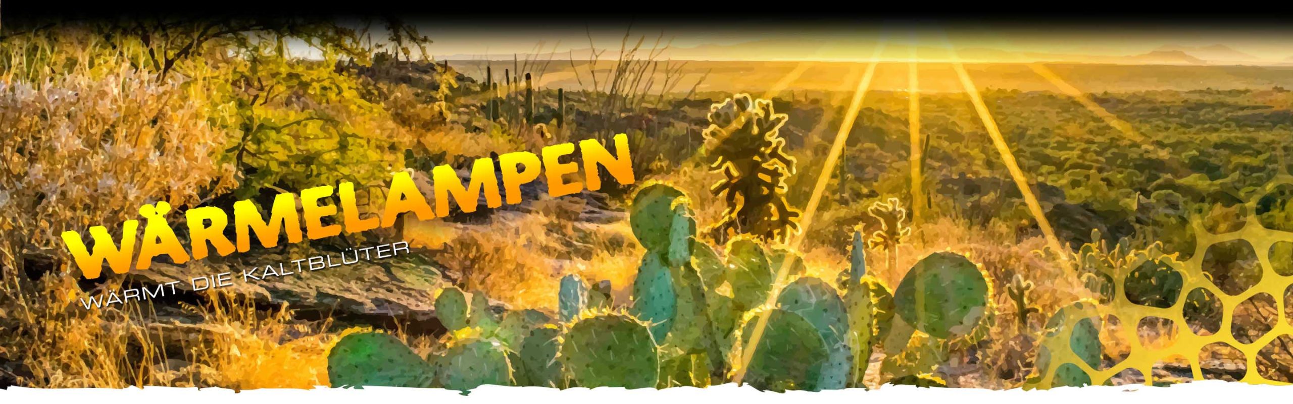 Heat Lamps Header