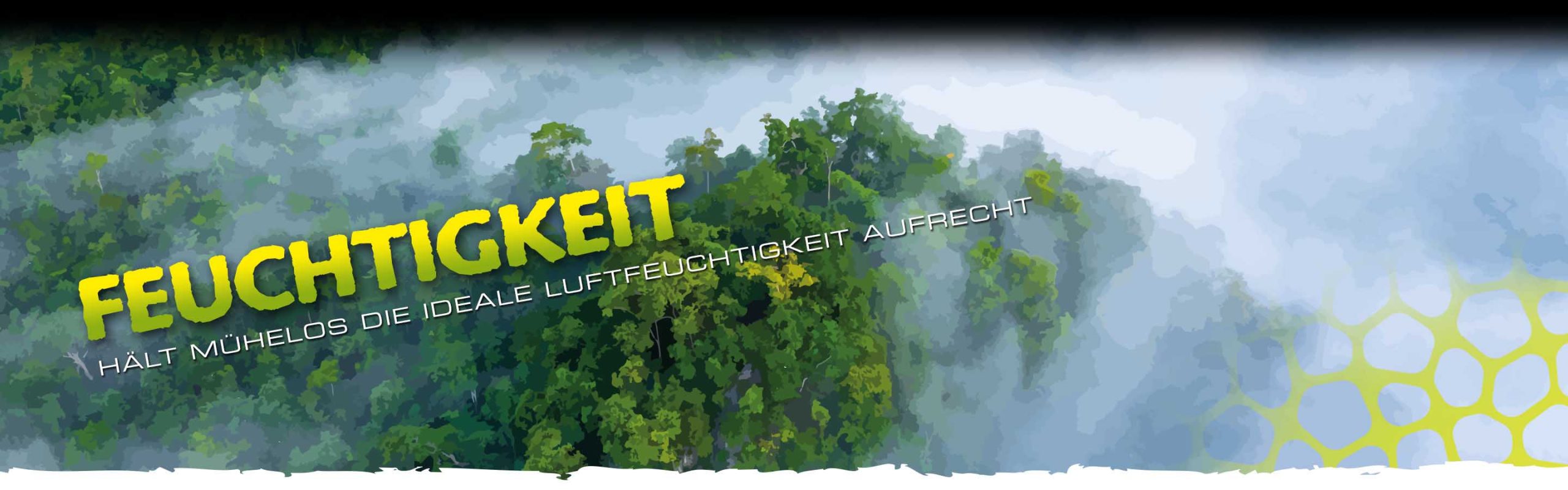 Misters Header