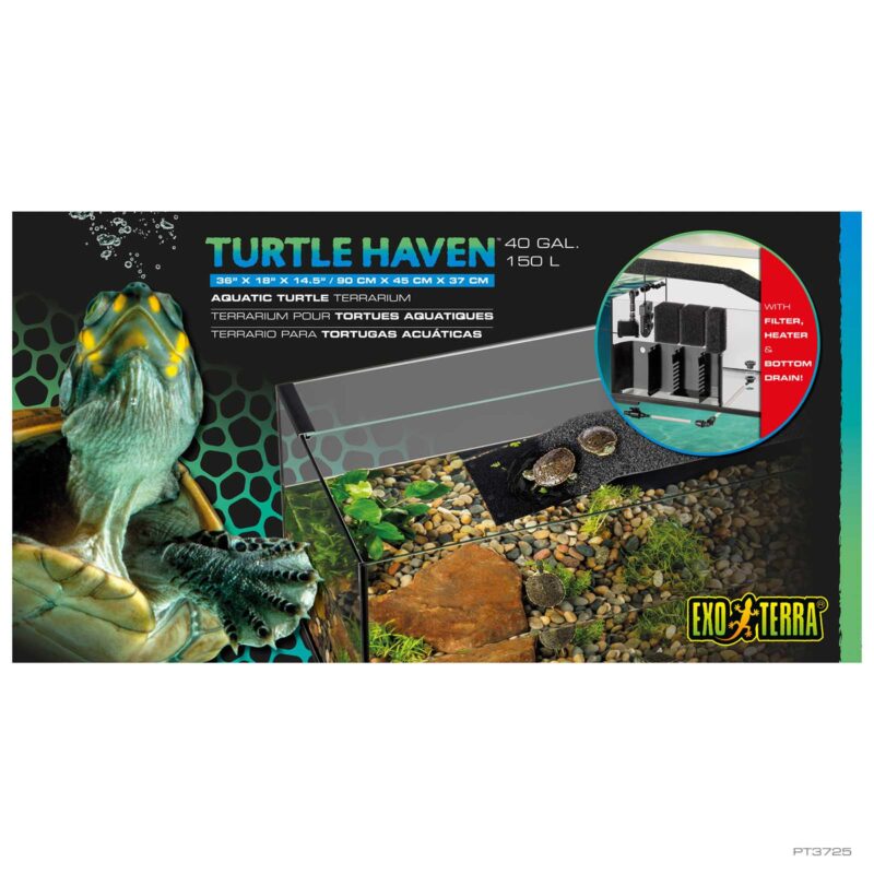 Turtle Haven