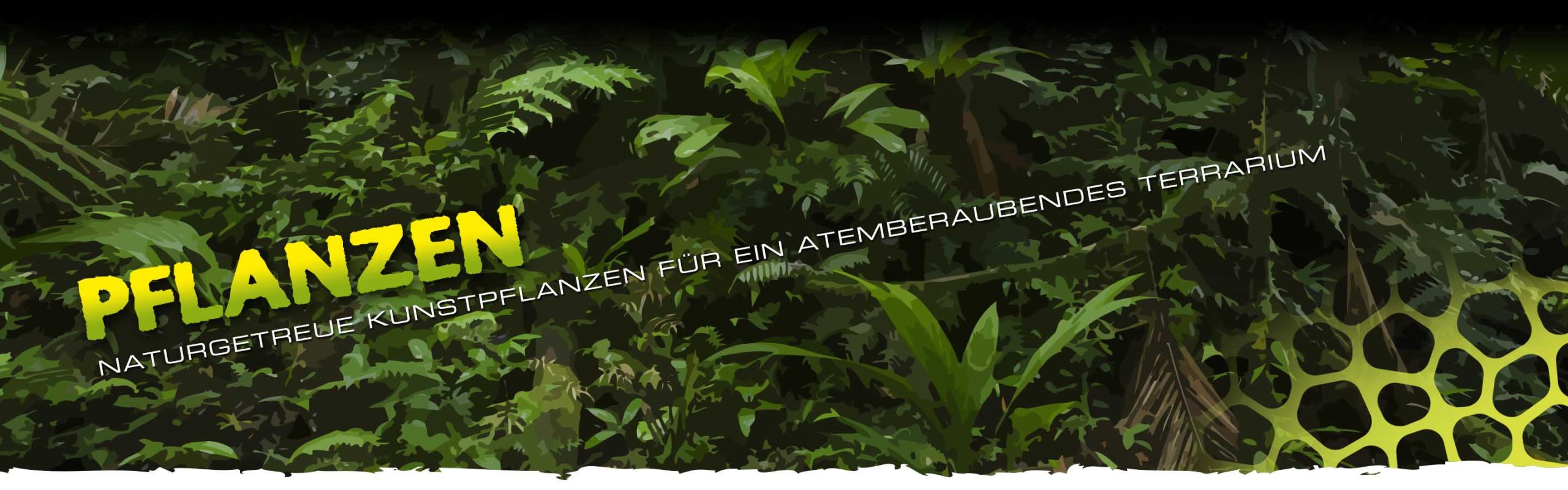 Pflanzen