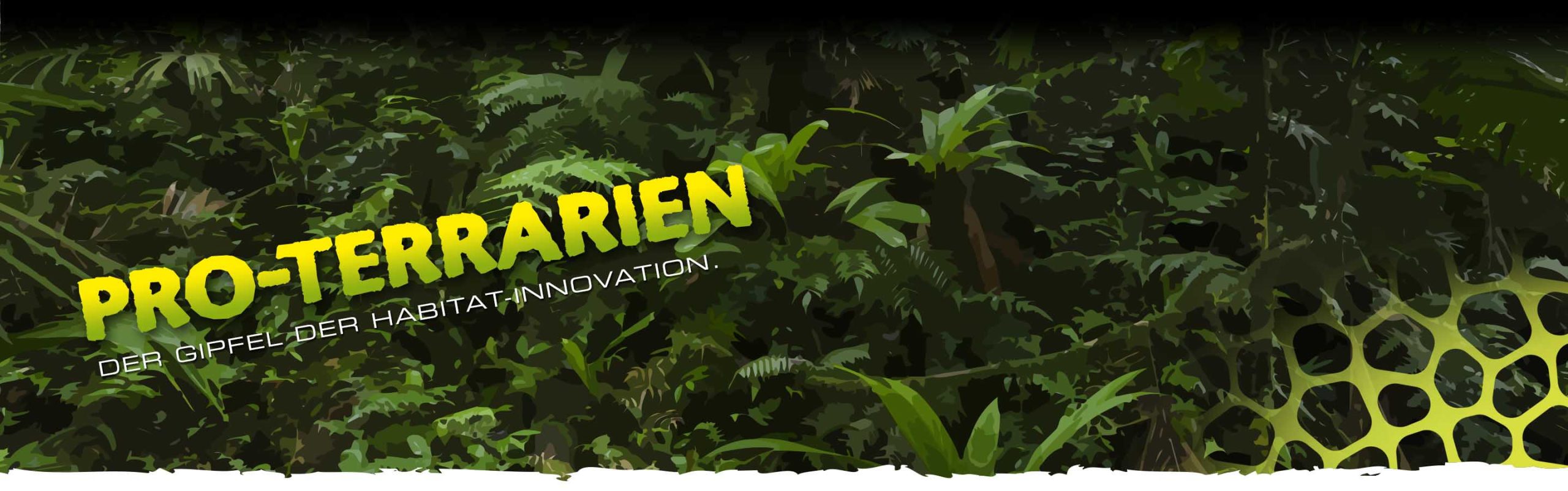Frog Terrariums Header