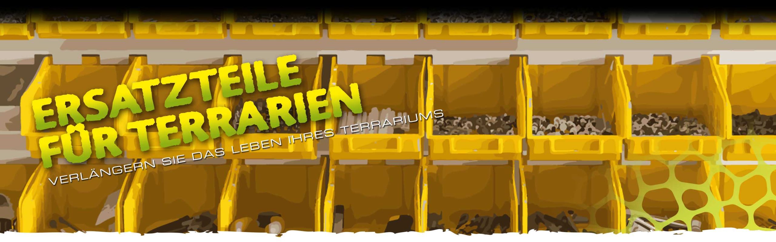 Natural Terrariums Header