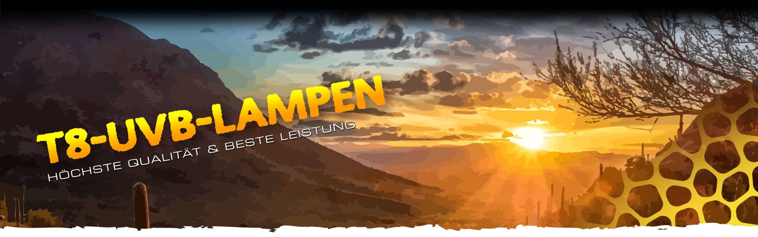 Ultraviolet Lights Header