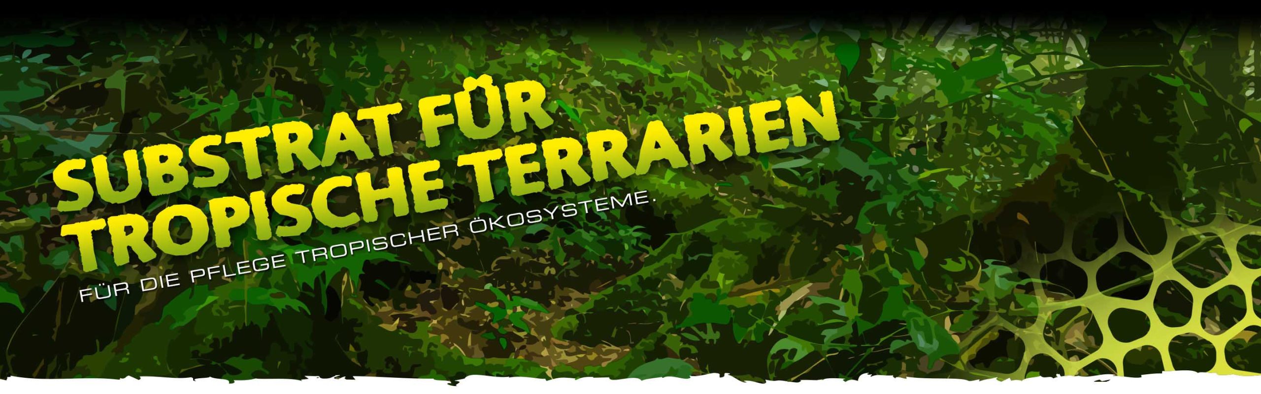 Tropical Substrates Header