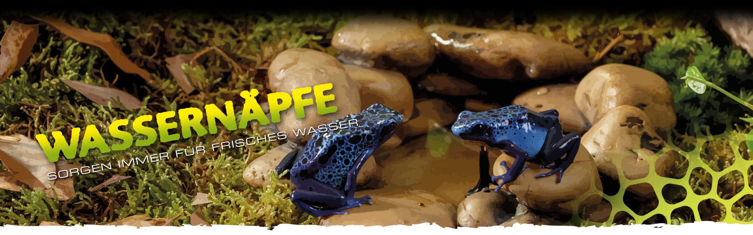 Wassernäpfe