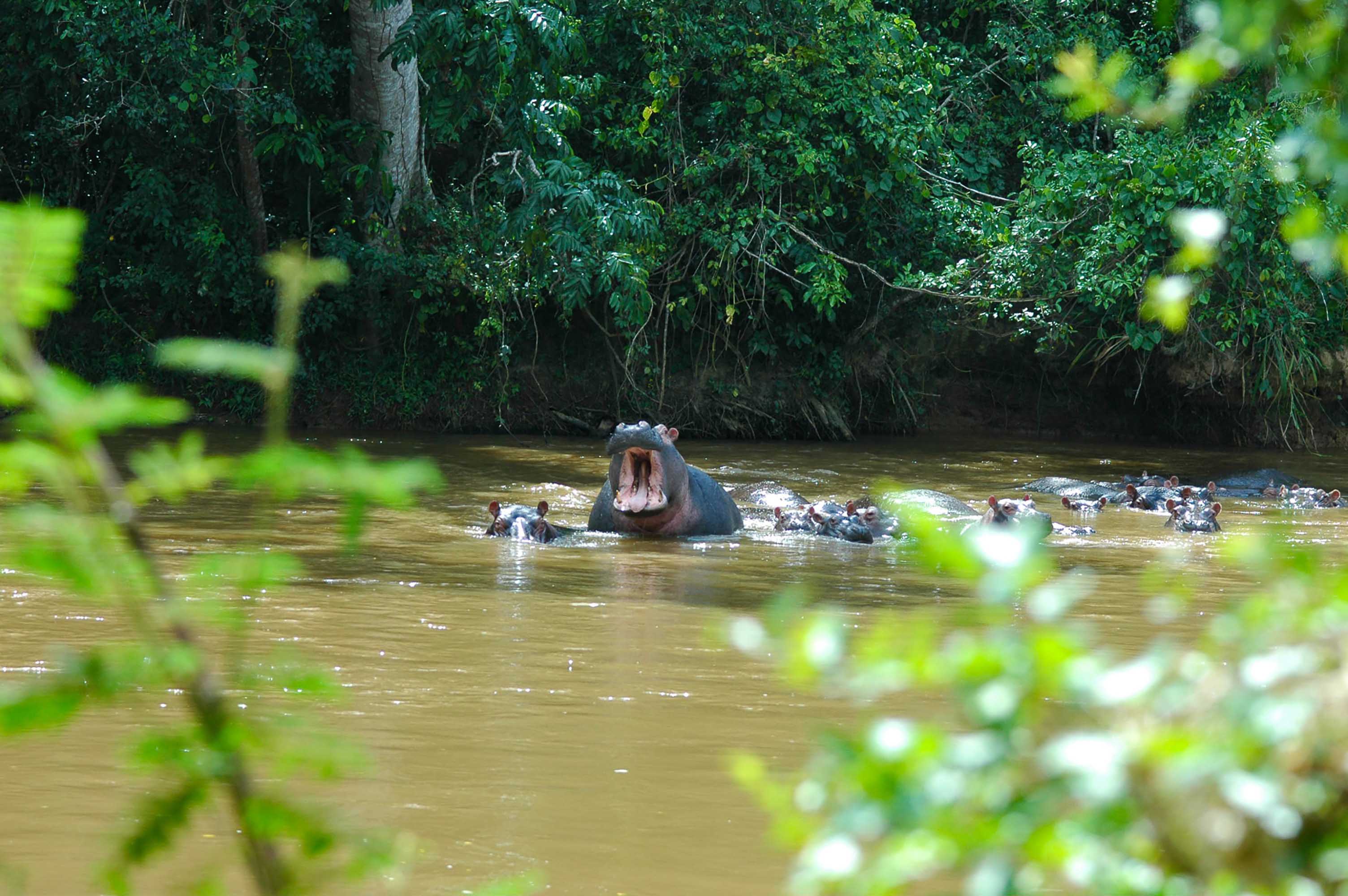 An der Grenze zum Kongo
