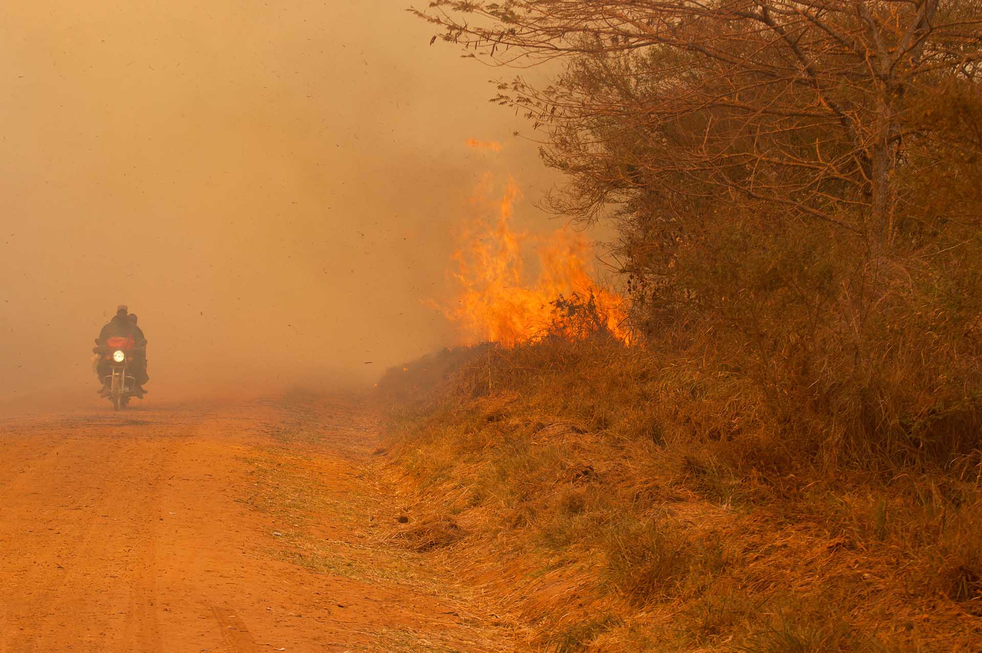 Der Maramagambo-Wald