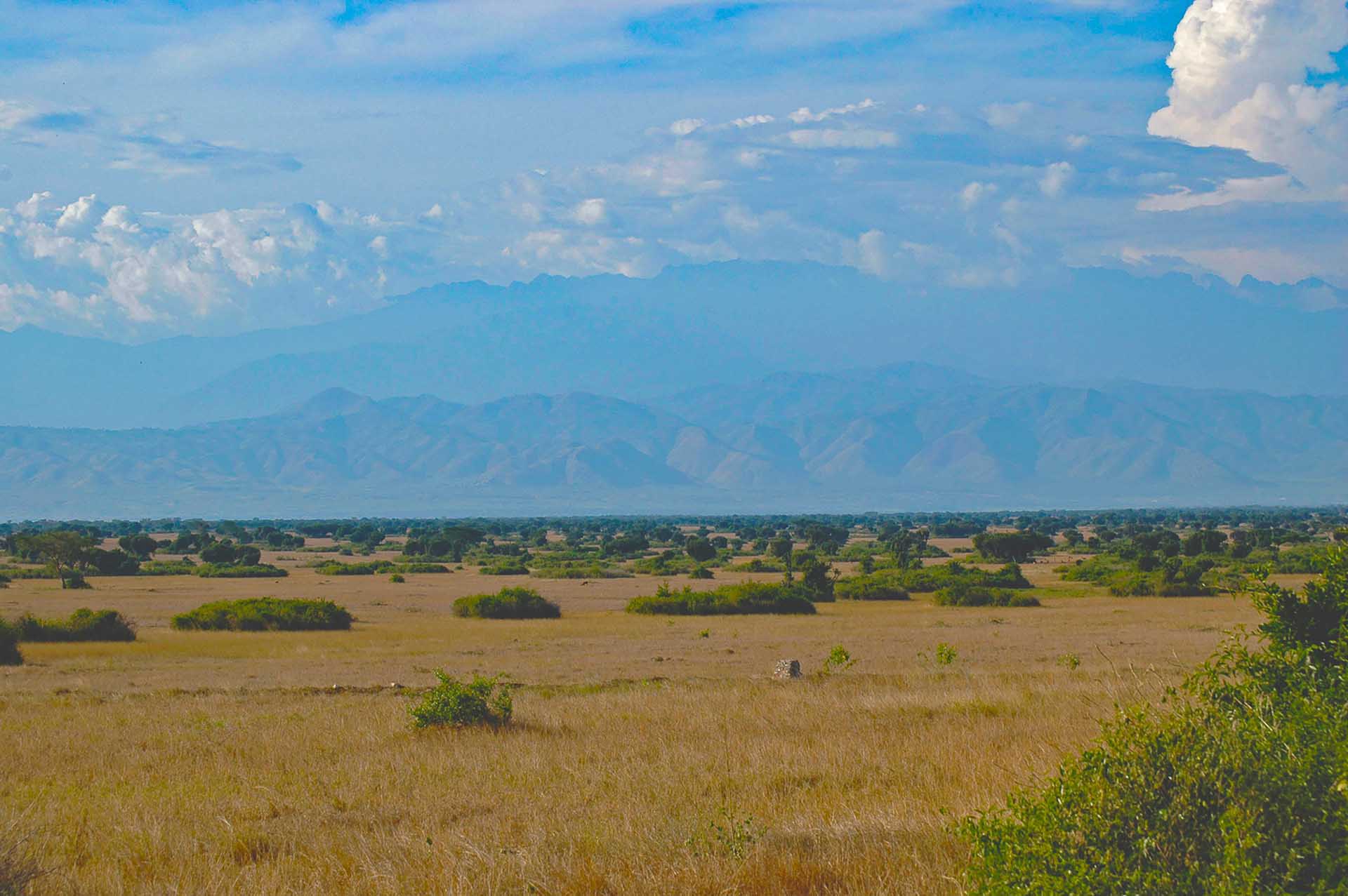 Unsere Reise durch den Queen-Elizabeth-Nationalpark