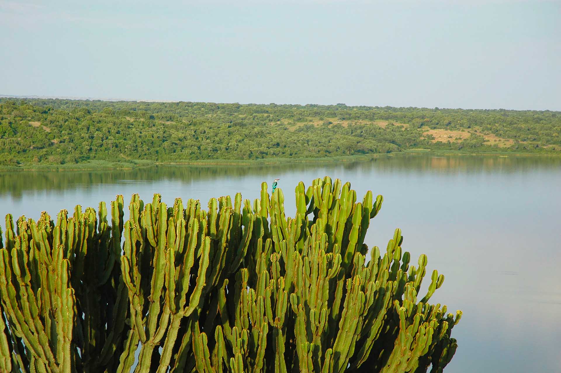 Unsere Reise durch den Queen-Elizabeth-Nationalpark