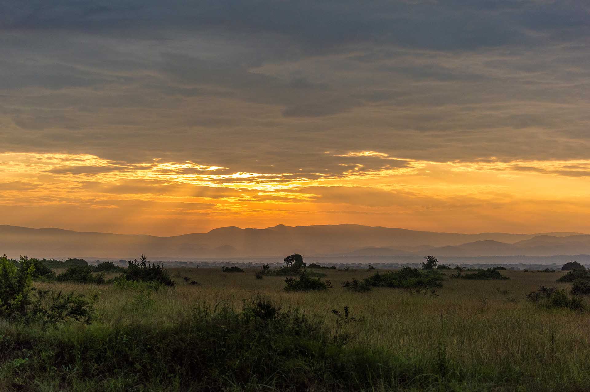 Unsere Reise durch den Queen-Elizabeth-Nationalpark