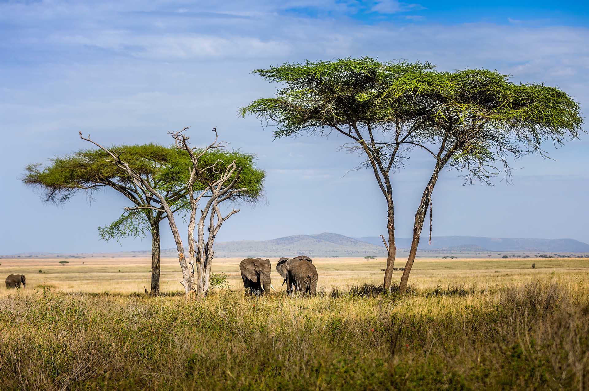 Unsere Reise durch den Queen-Elizabeth-Nationalpark