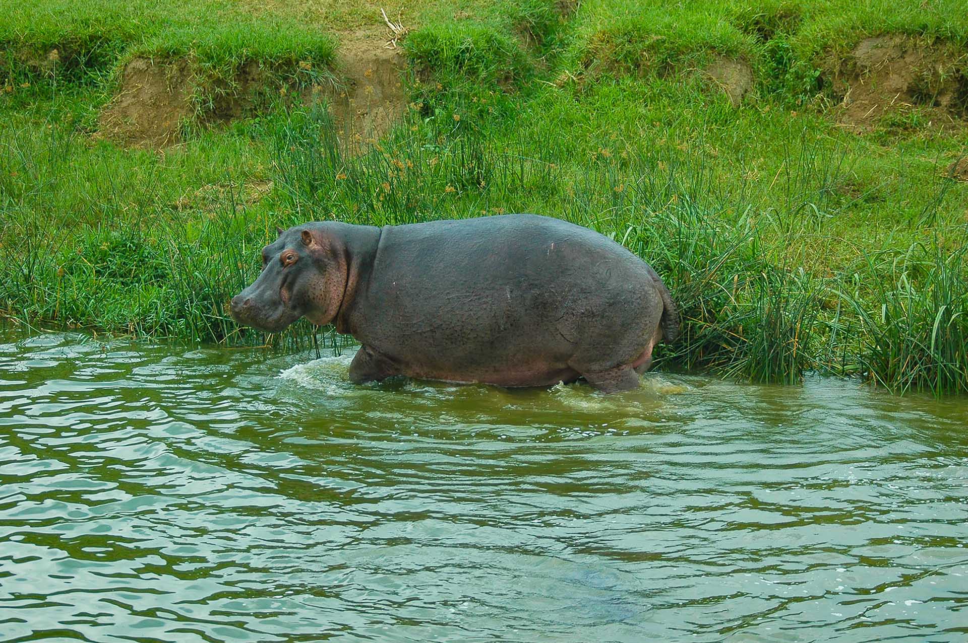 Unsere Reise durch den Queen-Elizabeth-Nationalpark
