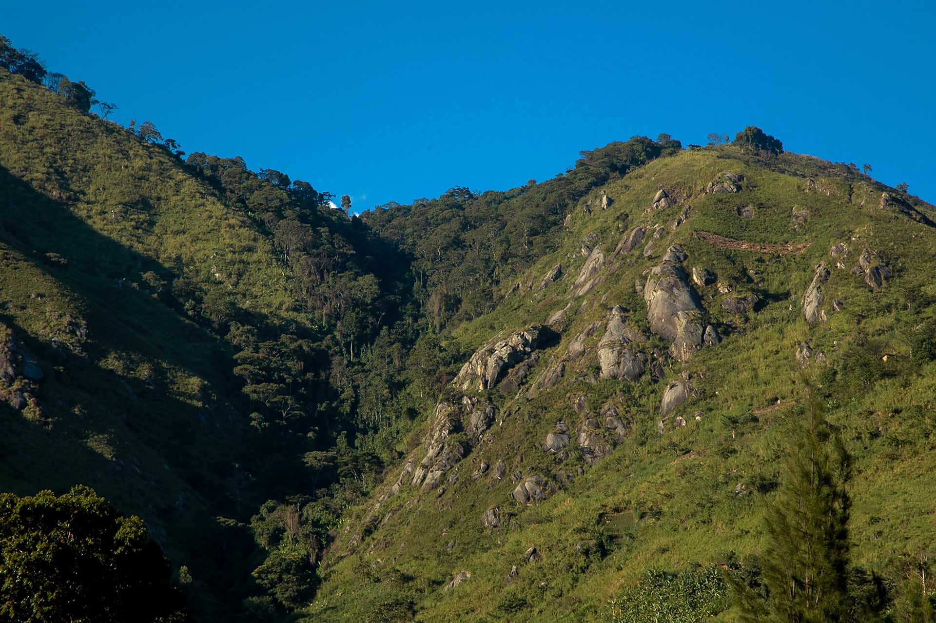 Das Ruwenzori-Gebirge