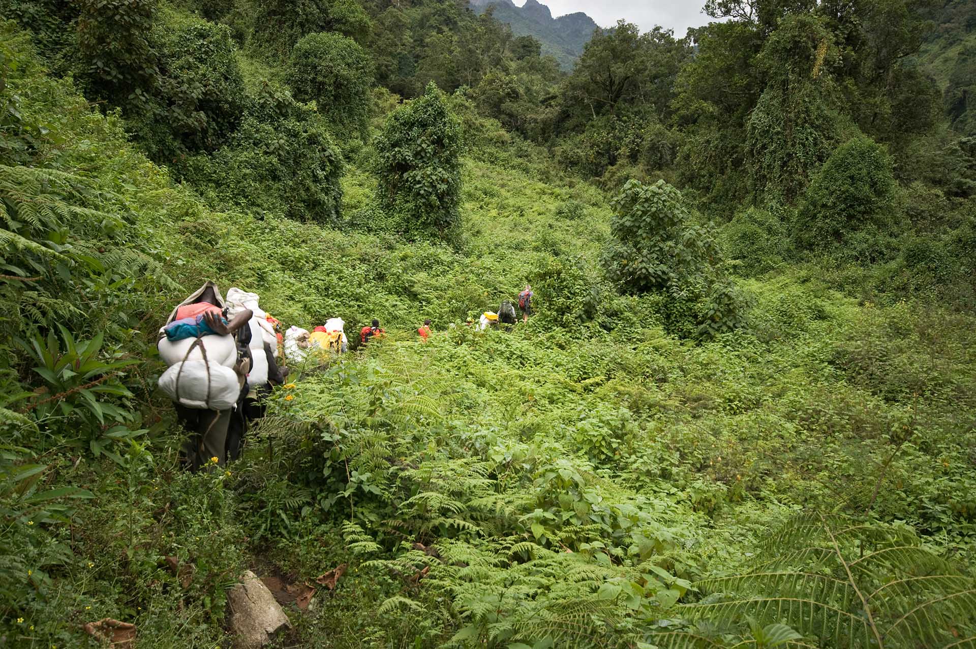 Das Ruwenzori-Gebirge