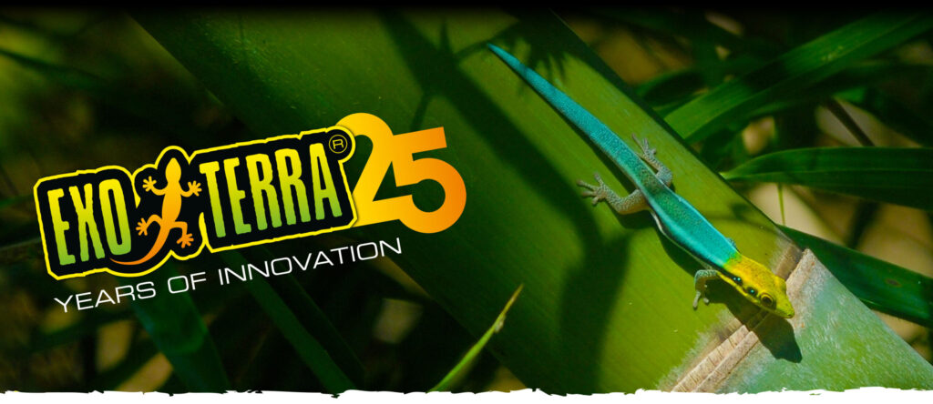 25 Años De Innovación