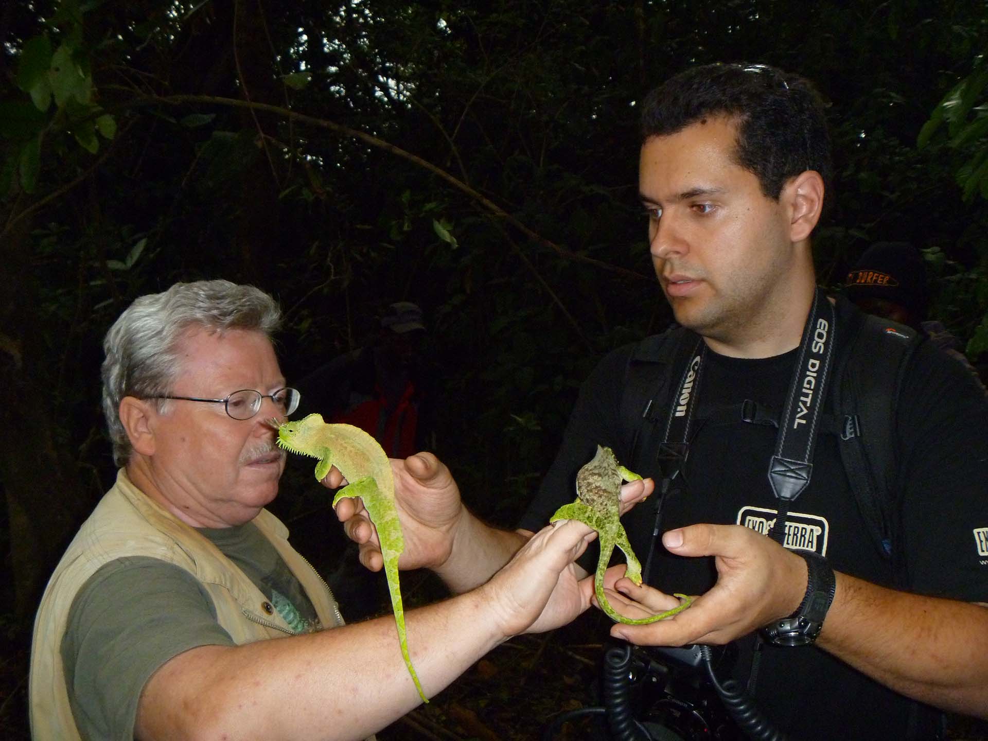 Paludarium: Combine the best of two worlds!