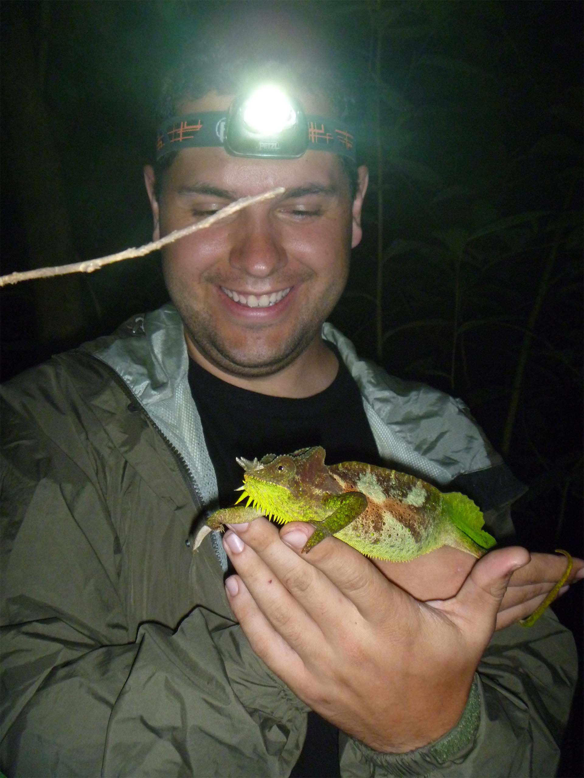 Paludarium: Combine the best of two worlds!