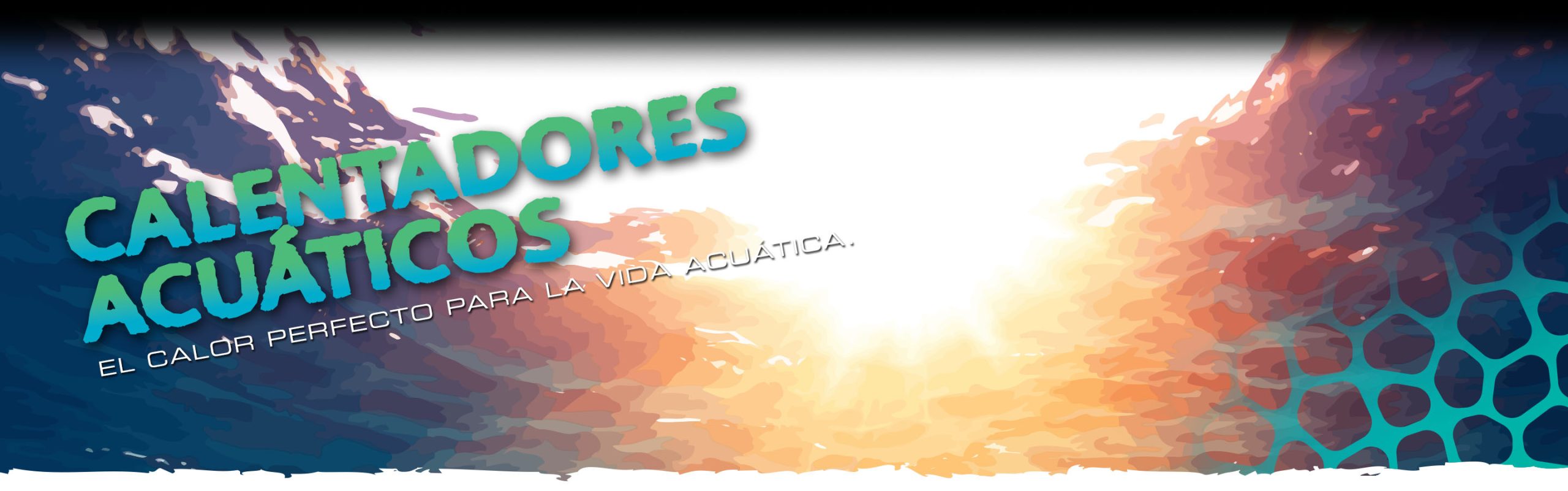 Calentadores Acuáticos