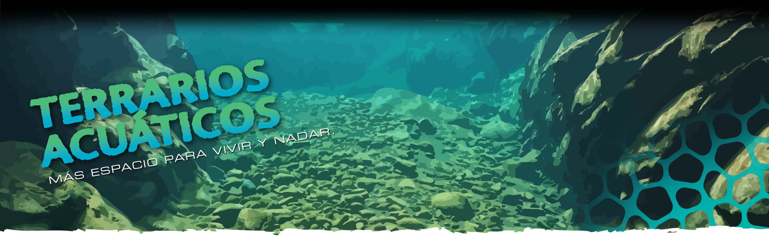 Aquatic Terrariums Header