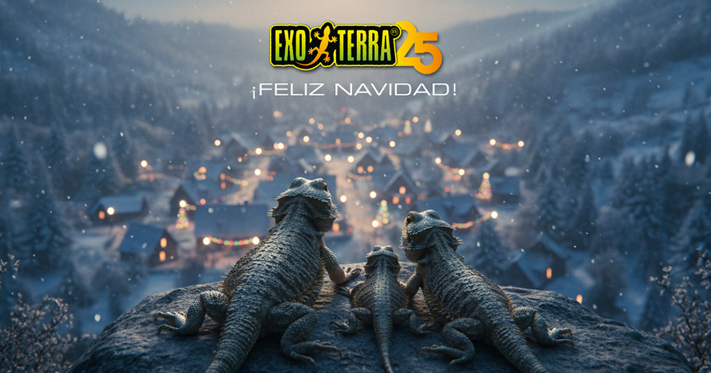 ¡Feliz Navidad!