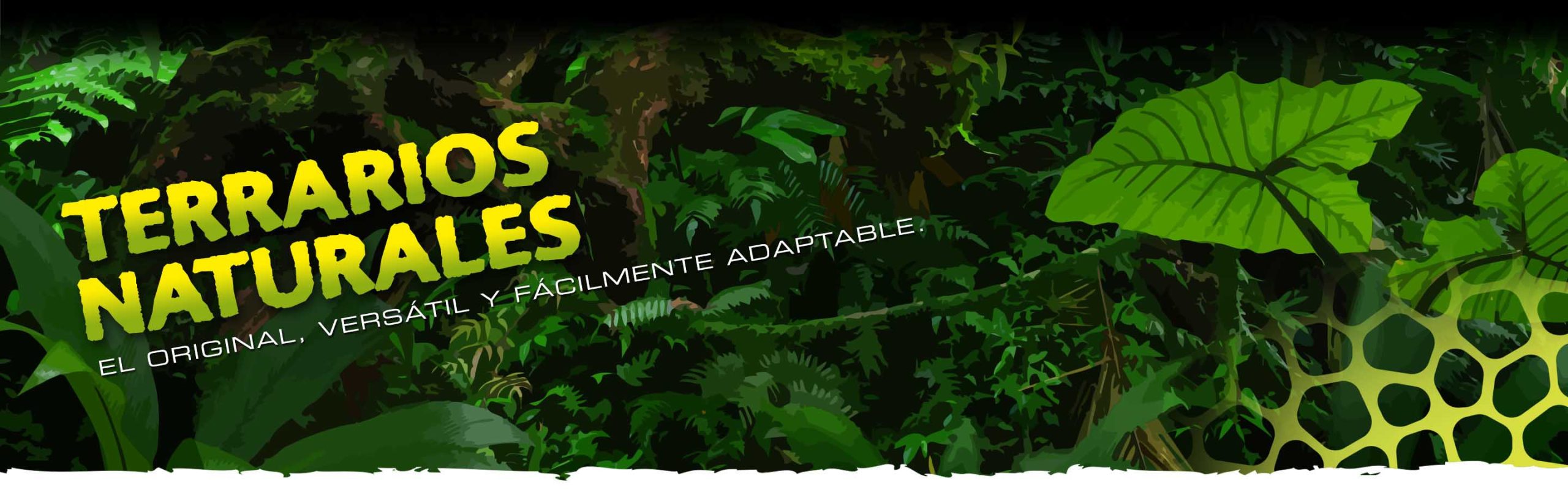 Terrarios Naturales