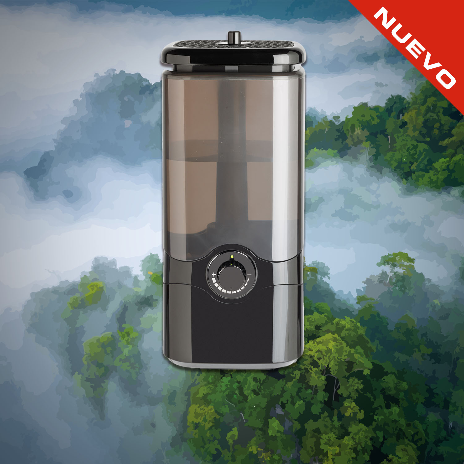 Chuckwalla (Sauromalus ater)