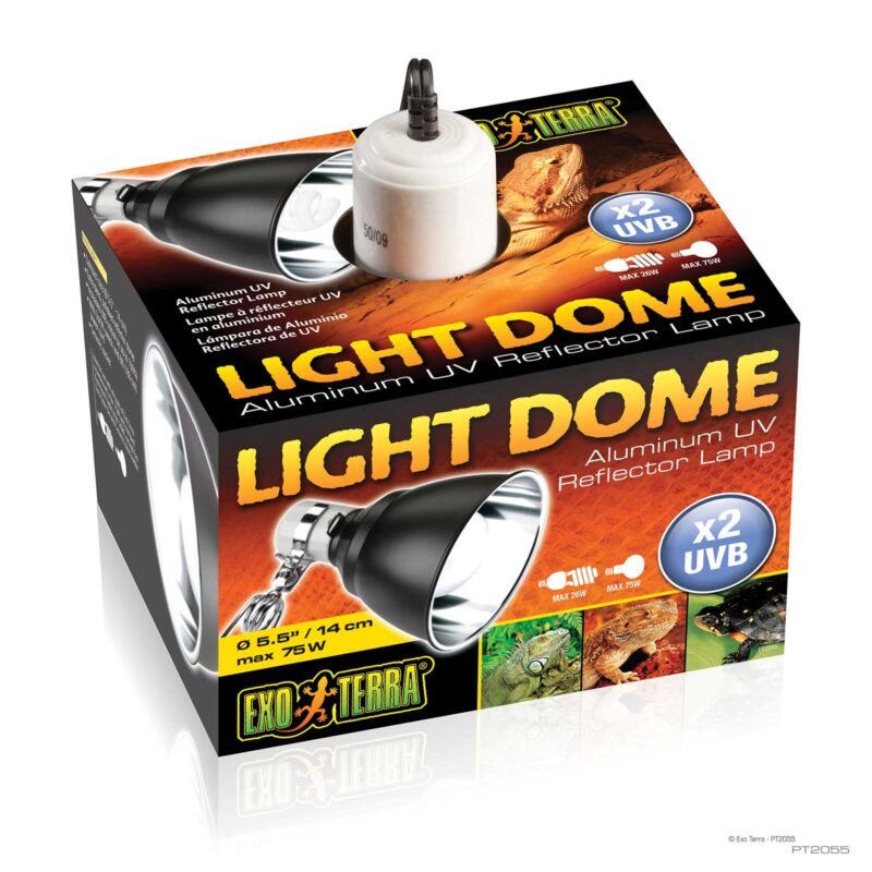 Light Dome Small