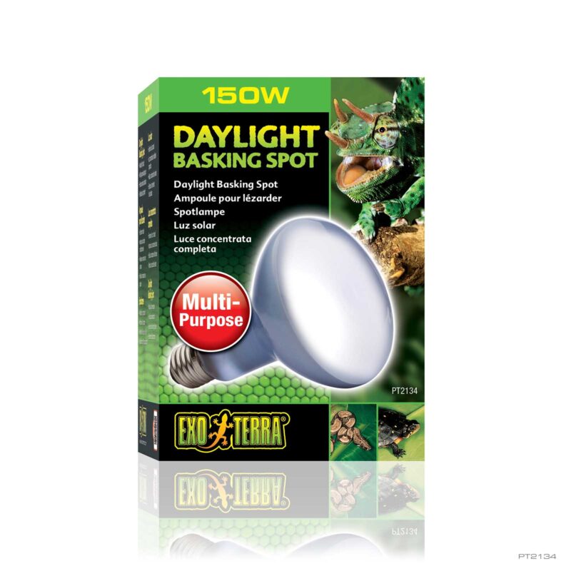 井戸川 Exo TERRA DAYLIGHT BASKIN 150W 6個 Daylight Basking Spot 150W