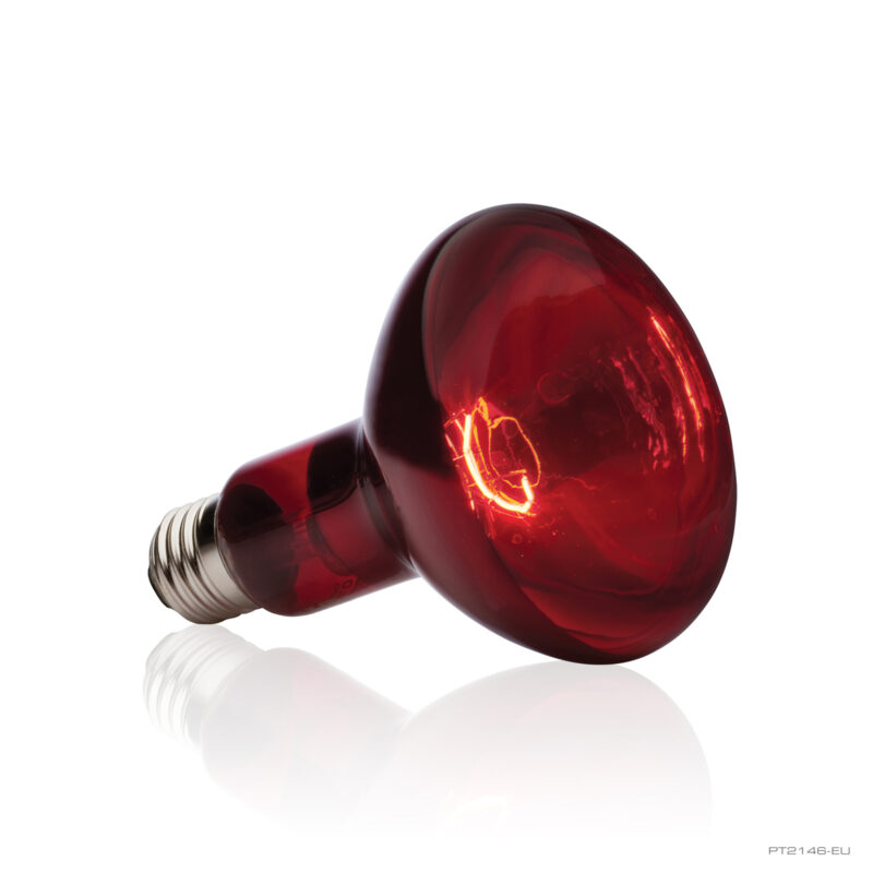 Infrared Basking Spot 150W