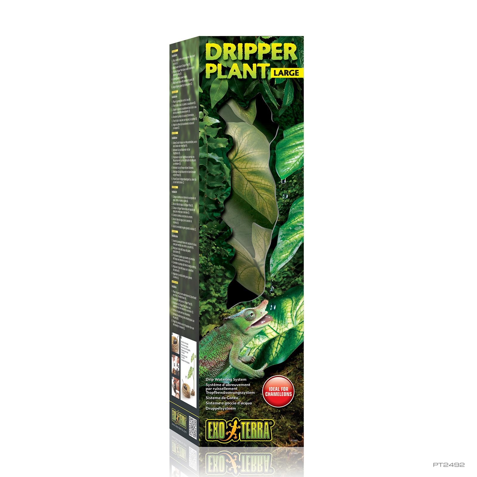 Dripper Plant Large