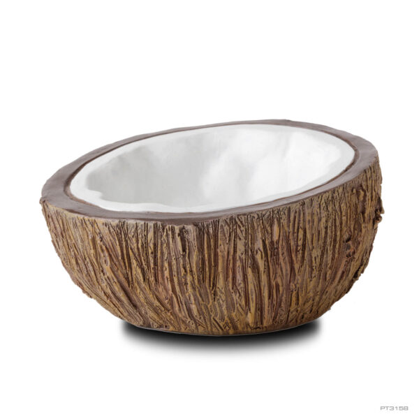 Coconut