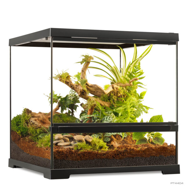 Pro Terrarium Small Wide